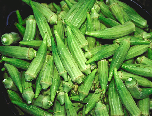 "植物黄金"秋葵受热捧