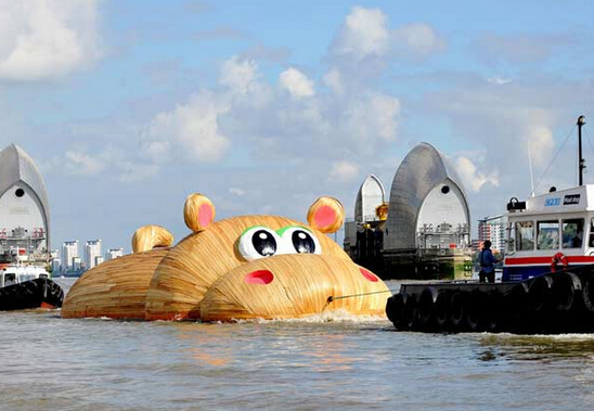 “大黄鸭”后继有人 巨型“木河马”畅游泰晤士河