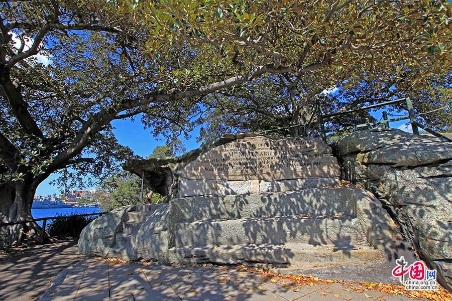 绿树掩映下的麦考利夫人岩石椅（Mrs Macquarie's chair）