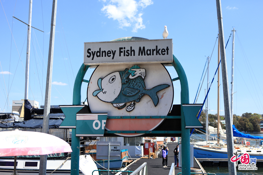 雪梨鮮魚市場入口