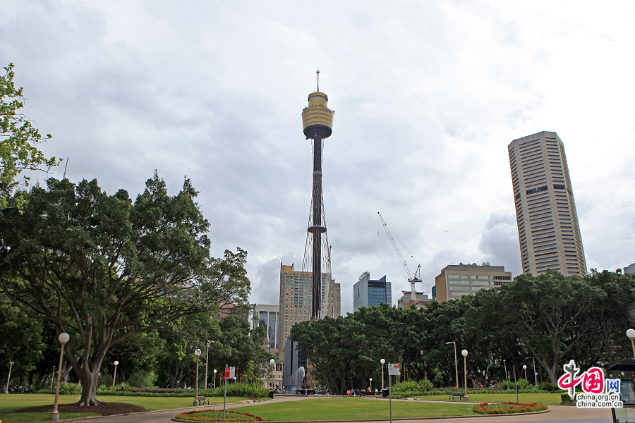 悉尼塔高300多米，是悉尼的地标之一
