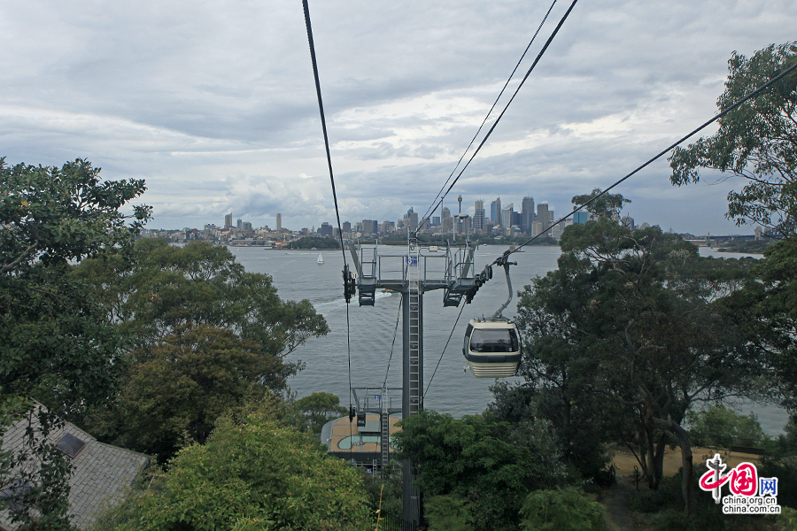 跨海缆车可以从悉尼市直达taronga动物园