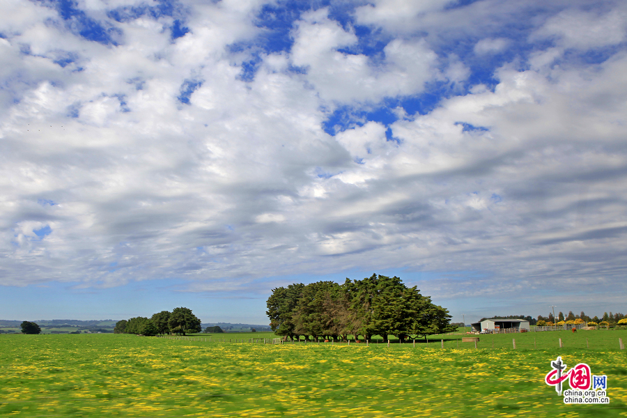 蓝天白云下的澳洲农场