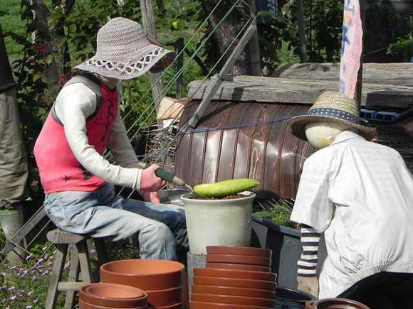 日本农场惊现超逼真稻草人形态各异迷惑眼球