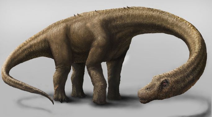 科学家发现可精确估重的最大恐龙