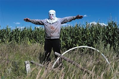 內(nèi)蒙古鄂爾多斯化工區(qū)逾萬(wàn)只珍禽離奇死亡