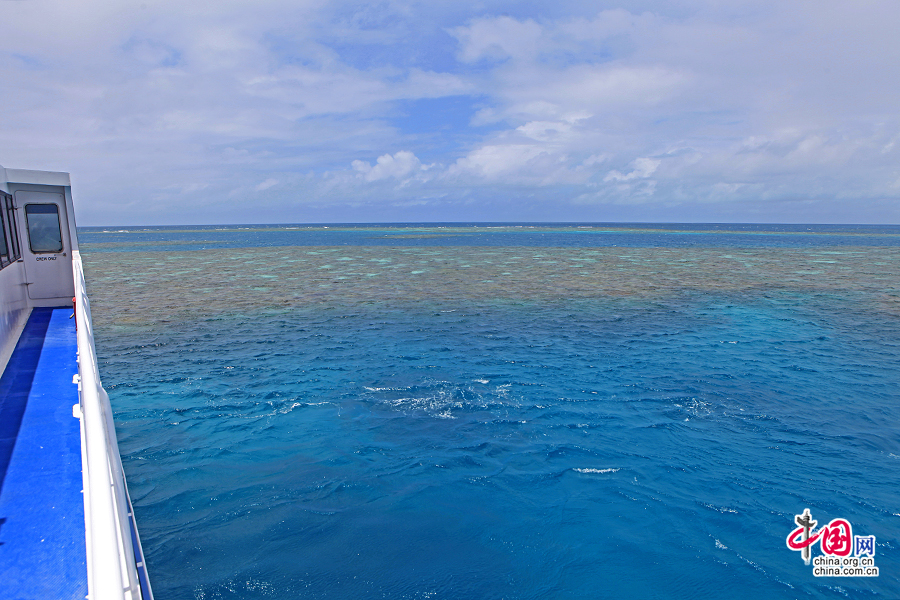 水下是彩色的珊瑚礁