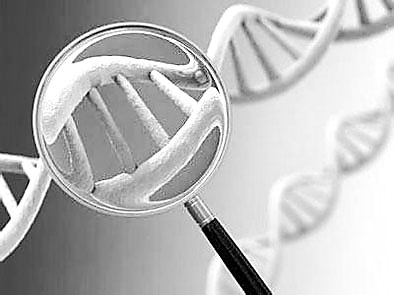人类基因组计划欲改变未来医疗