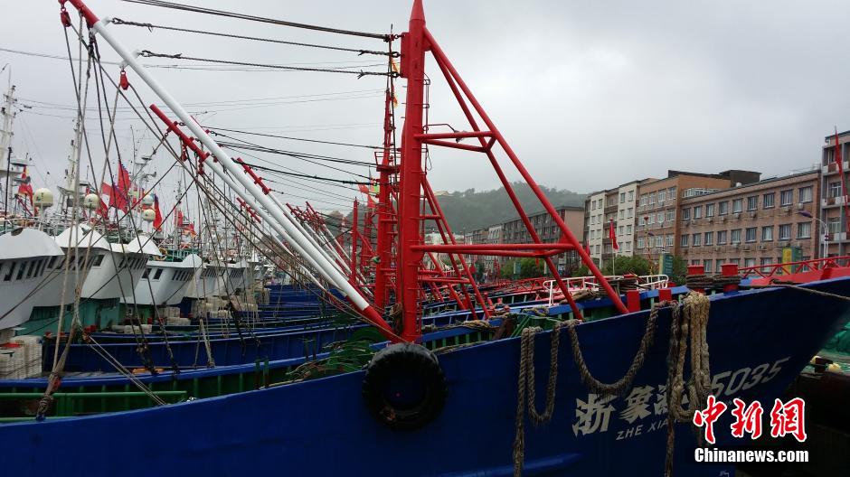 “凤凰”携风裹雨逼近浙江 渔船集体入港