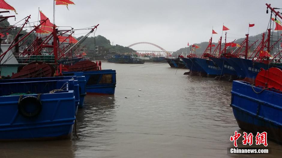 “鳳凰”攜風裹雨逼近浙江 漁船集體入港