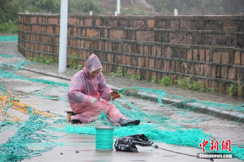 “鳳凰”攜風裹雨逼近浙江 漁船集體入港