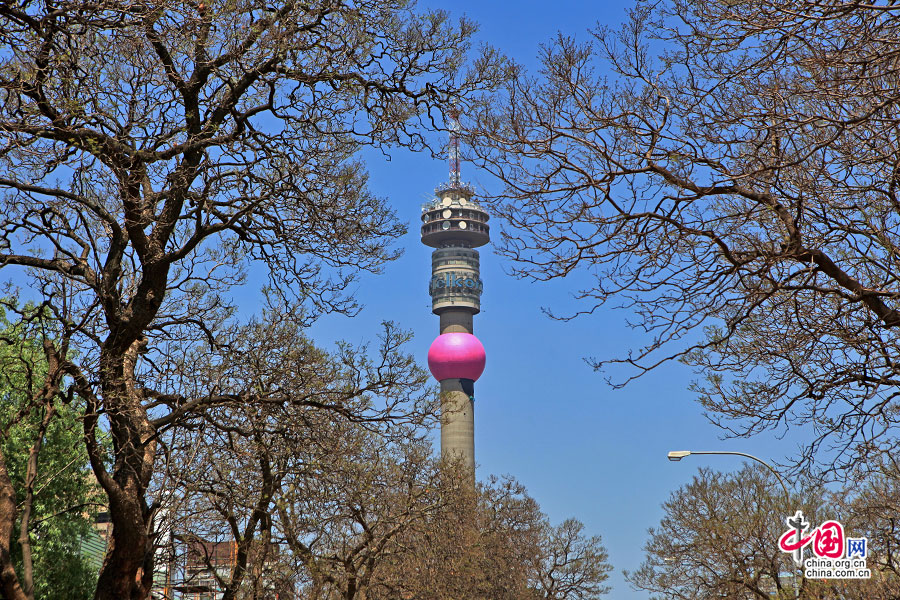 漂亮的粉色球电视塔