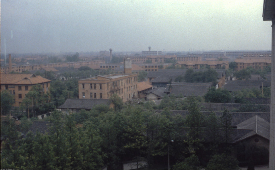 1979年中国50岁以下人口_50岁女人