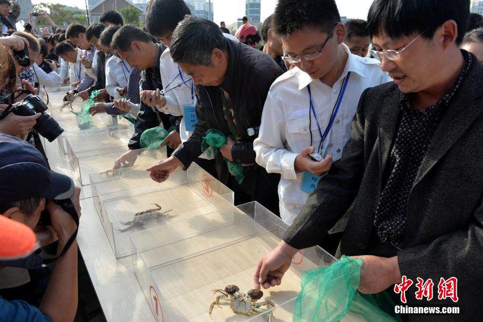 江蘇舉辦螃蟹趣味運動會