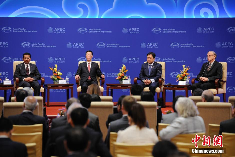 2014APEC財長會開幕式在北京舉行[組圖]