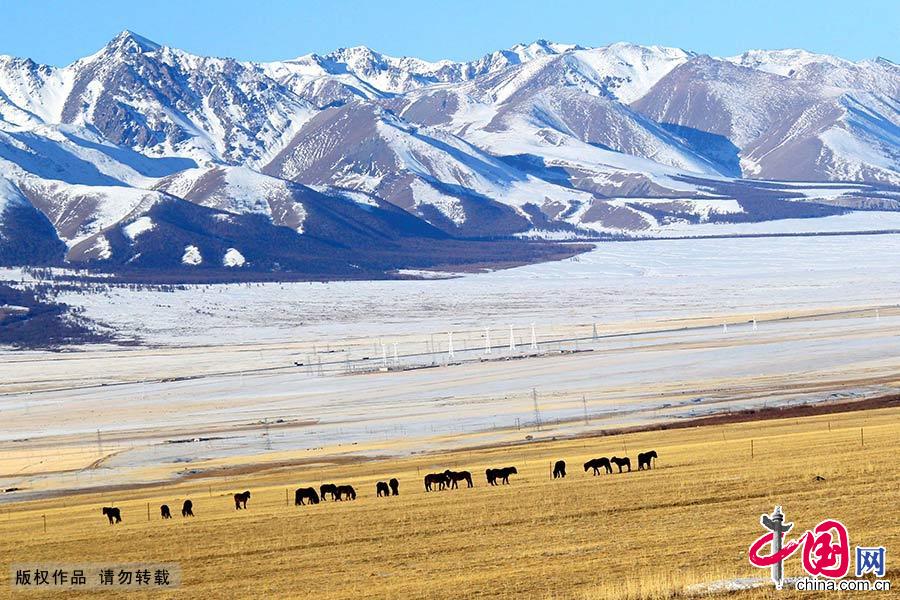 新疆天山世界自然遺産地，由昌吉回族自治州的博格達、巴音郭楞蒙古自治州的巴音布魯克和阿克蘇地區的托木爾、伊犁哈薩克自治州的喀拉峻—庫爾德寧等四個區域組成。