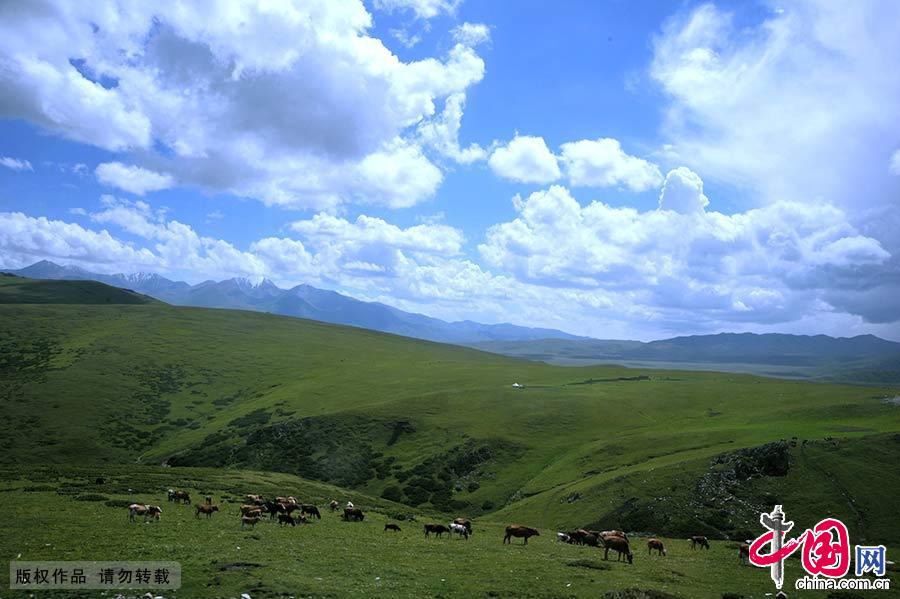 新疆天山世界自然遺産地，由昌吉回族自治州的博格達、巴音郭楞蒙古自治州的巴音布魯克和阿克蘇地區的托木爾、伊犁哈薩克自治州的喀拉峻—庫爾德寧等四個區域組成。