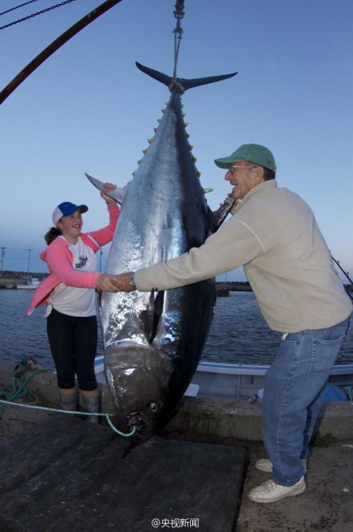 加拿大12歲女孩釣起280多公斤鮪魚[組圖]