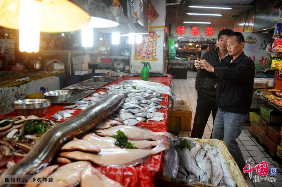 青島漁民捕獲近兩米長巨型海鰻魚[組圖]