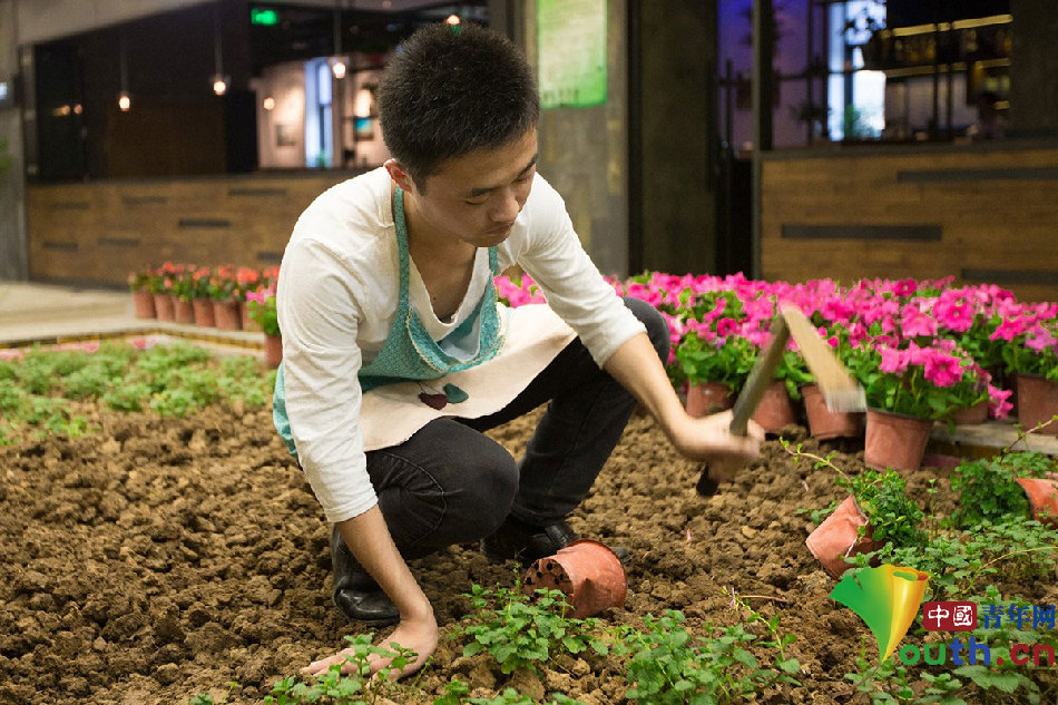 南京一商场内耕地种菜 打造都市“田园生活”