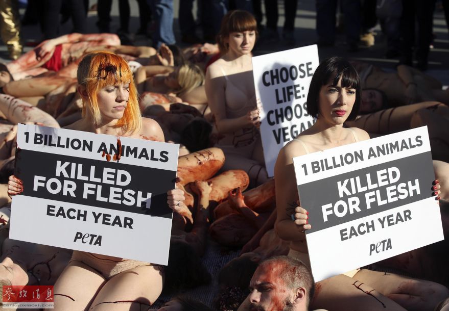 英國活動家“裸身”躺地反對食用肉類 