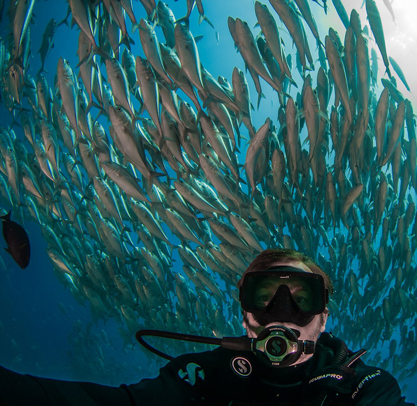 澳夫婦墨西哥潛水遇魚群'包圍' 鏡頭記錄震撼景象[組圖]