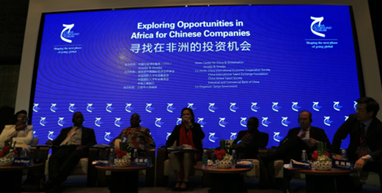 中国企业国际化论坛寻找在非洲投资机会