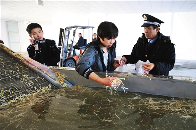 大兴一企业“泡药”豆芽日销20吨