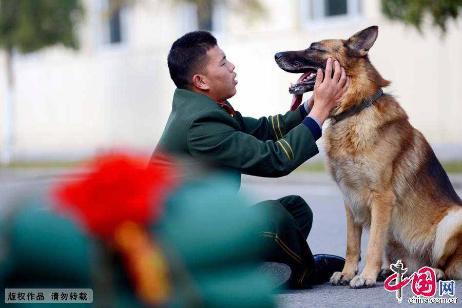 图为11月21日，训犬员谢乐平和爱犬“黑熊”进行最后的告别。中国网图片库 李科/摄