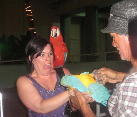 被动物袭击吓破胆的倒霉人