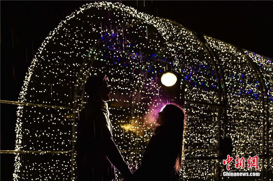 倫敦皇家植物園亮燈迎聖誕[組圖]