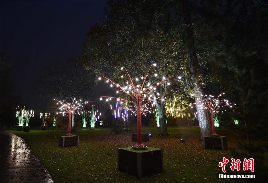 倫敦皇家植物園亮燈迎聖誕[組圖]
