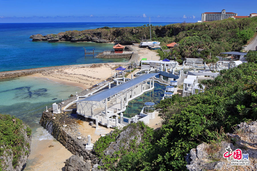 海边的礁石与灌木丛