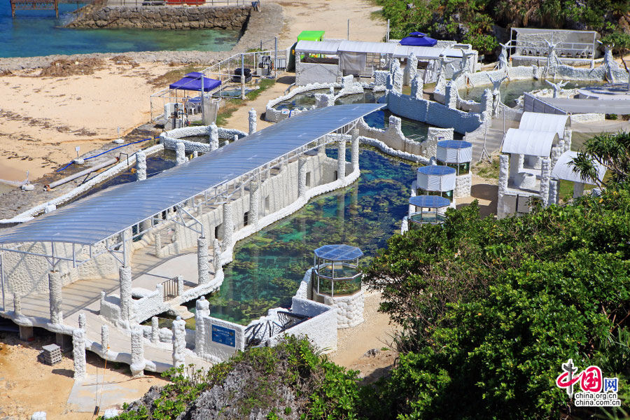 沙滩边的珊瑚养殖基地