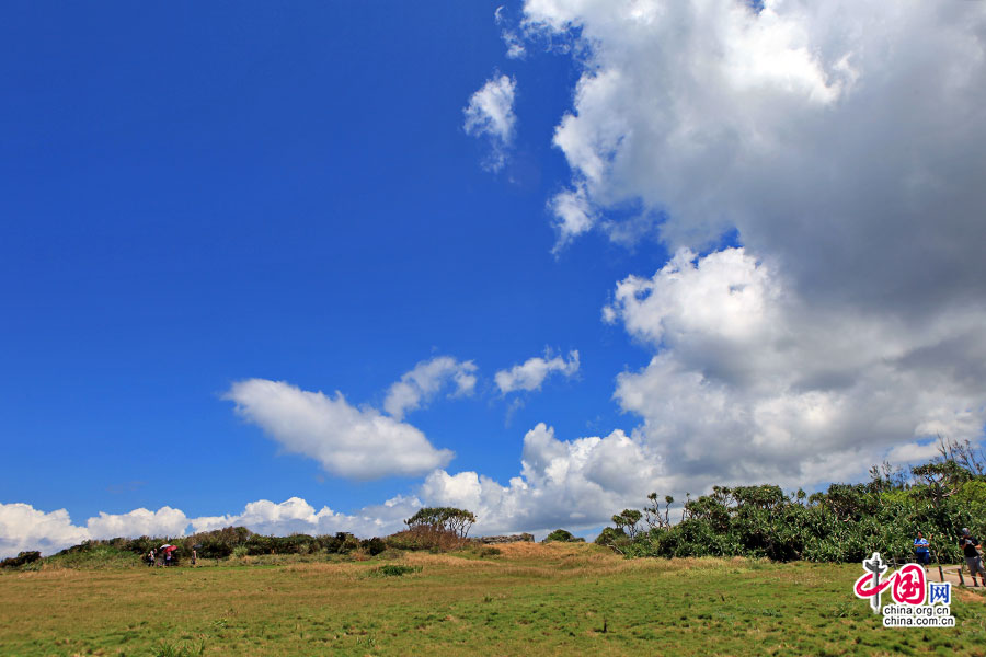 万座毛事实上是片可容纳一万人的荒草坪地