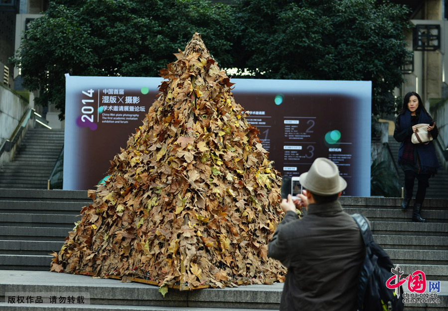 杭州學生用樹葉堆3米高“金字塔”引路人駐足觀賞[組圖]