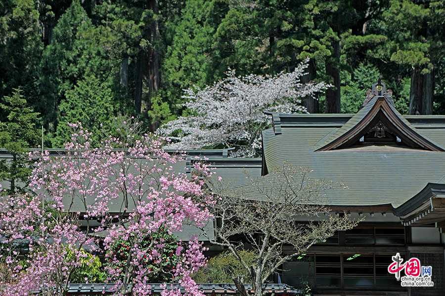二荒山神社