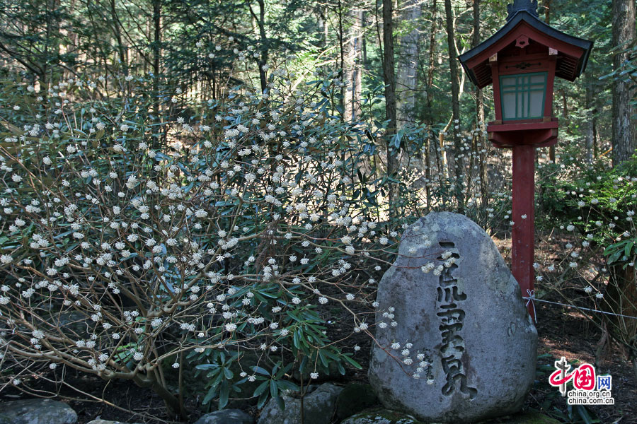 二荒山灵泉之神是掌管智慧之神