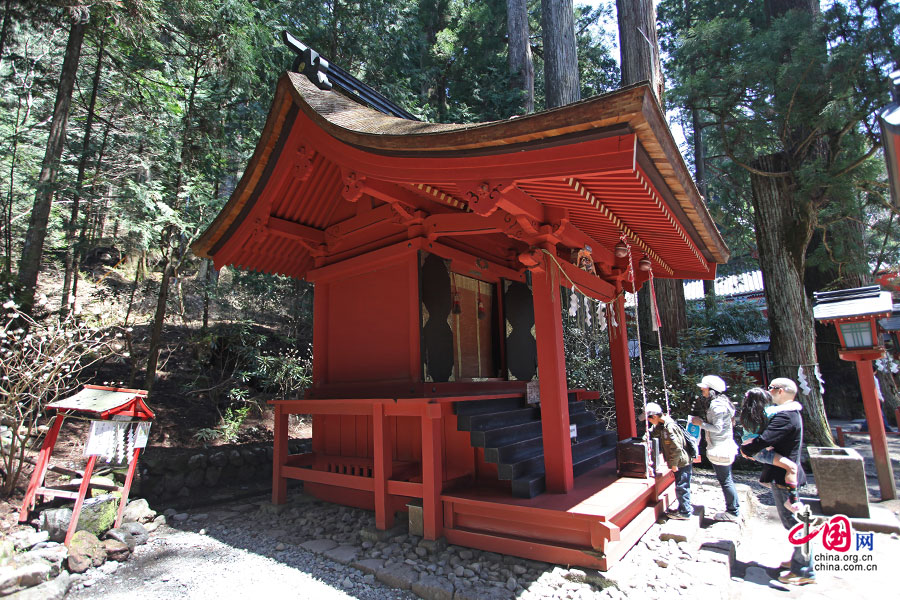 千年神木分管着姻缘、子嗣、健康与平安，亦受世人膜拜
