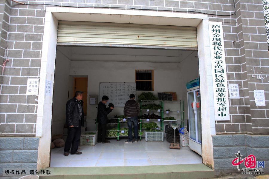 四川泸州：首家乡镇无人售菜超市亮相