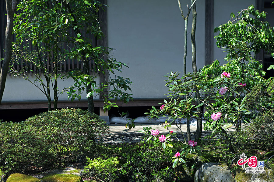 满园清幽色，古树参天