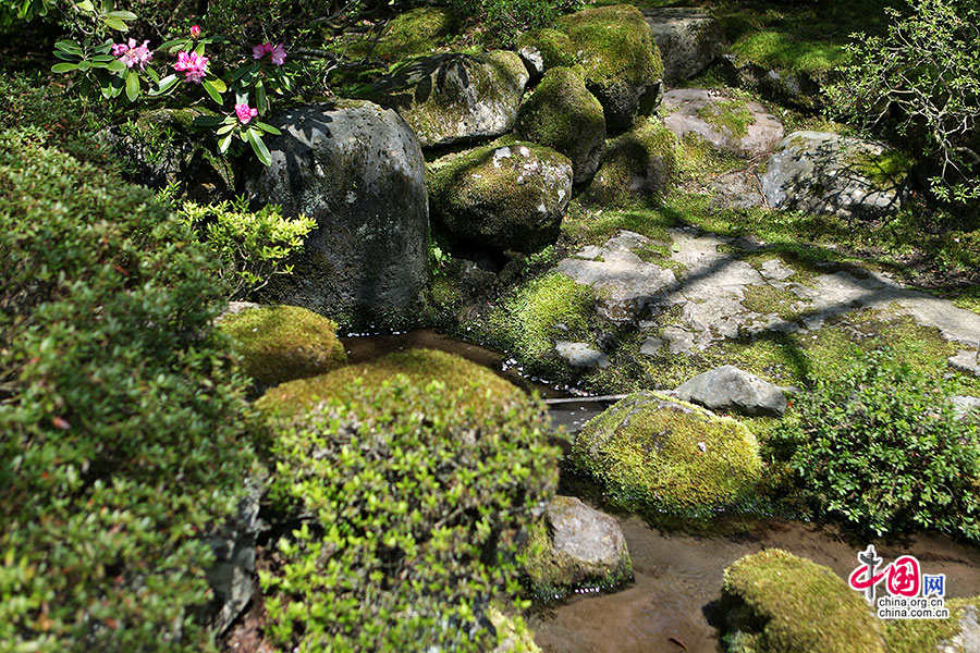 清泉、青苔与花朵点缀着园林