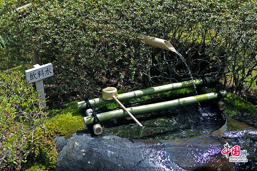 入口处与自然融为一体的饮水池