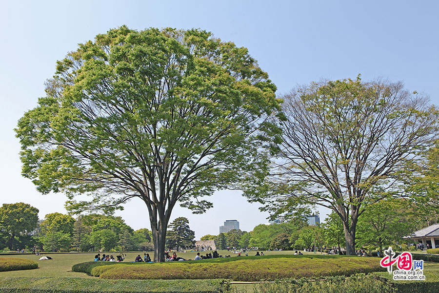 城堡中心地区