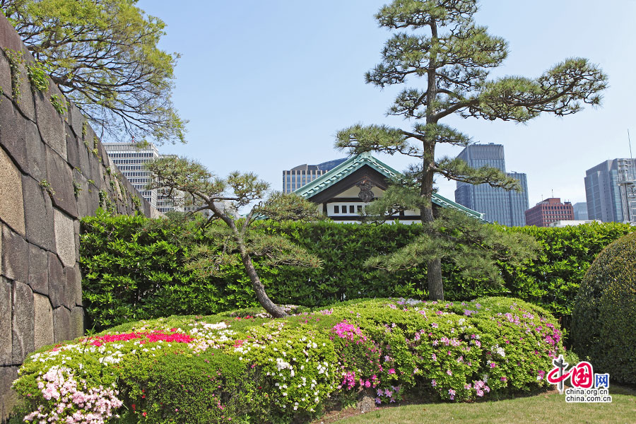 江户时代特色的日本庭园区