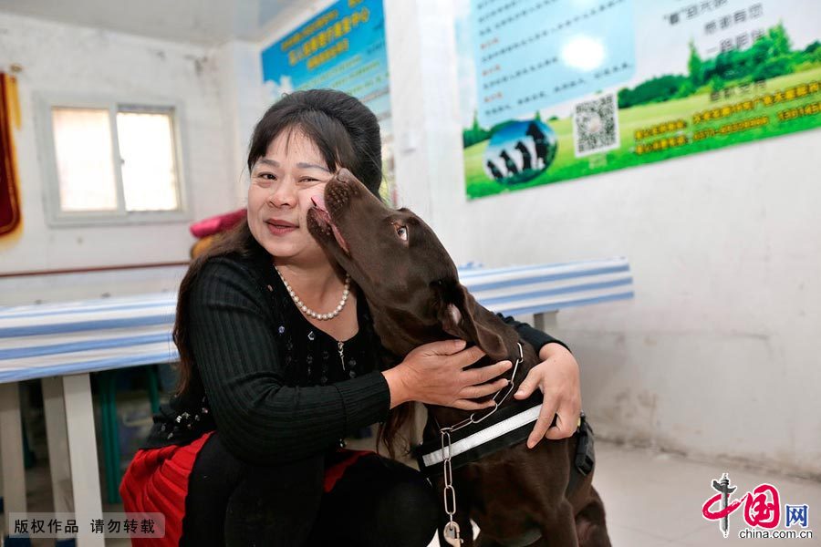 【中國故事】你是我的眼：導盲犬的故事