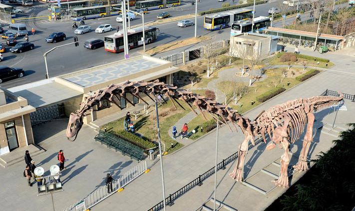 世界最大恐龍骨架在北京亮相 長約38米