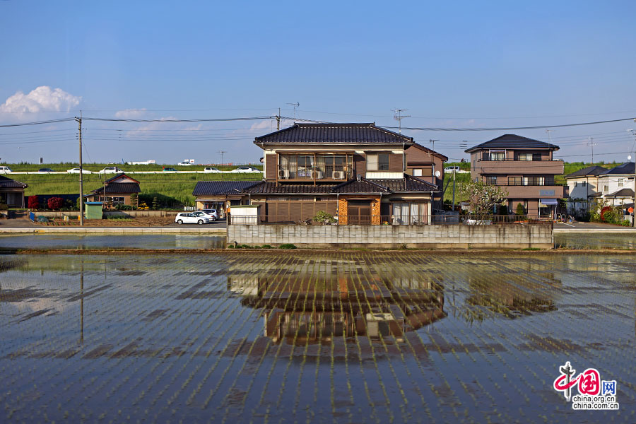 日光乡村的风光