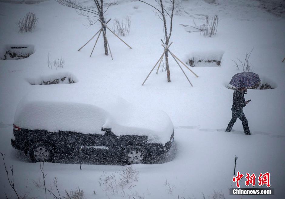 乌鲁木齐迎来入冬最强降雪[组图]