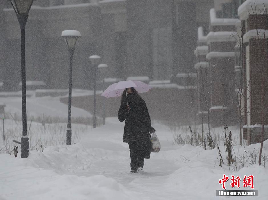 乌鲁木齐迎来入冬最强降雪[组图]